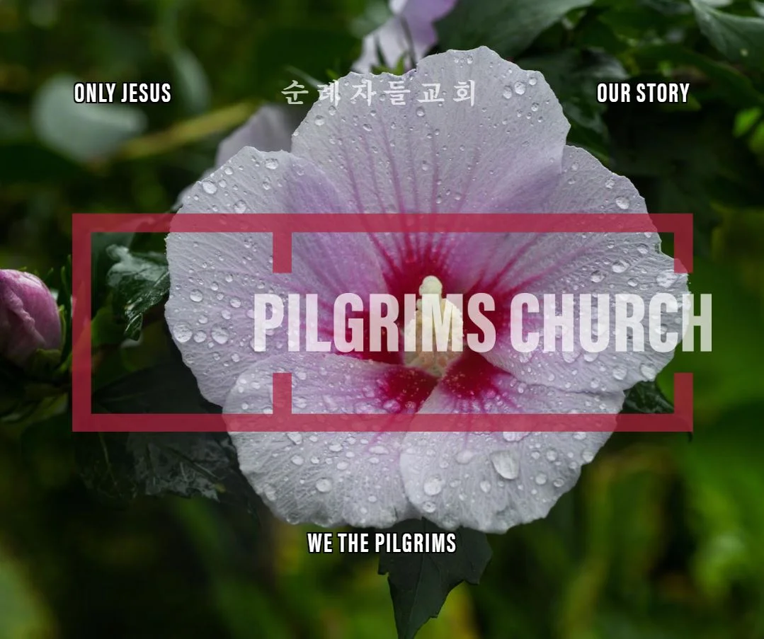 Pilgrims Church: A Journey in Pictures 7